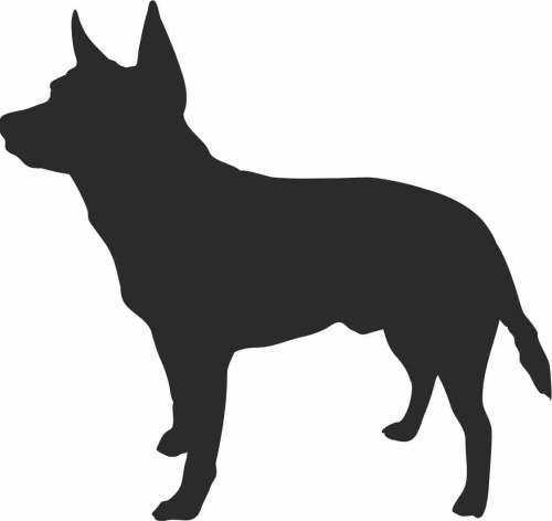 australian cattle dog 95x90.jpg