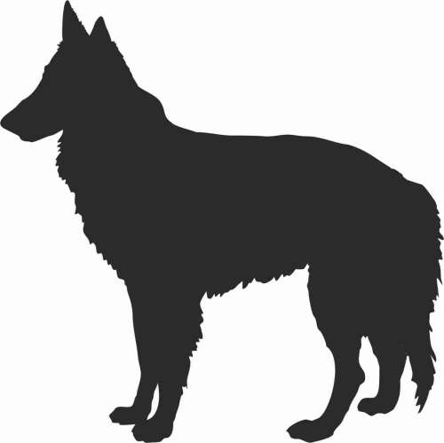 Groenendael  - naklejka