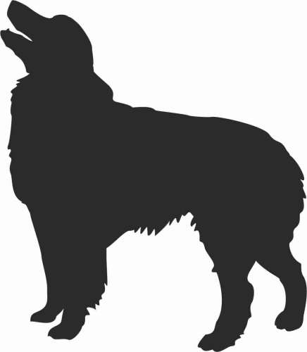  Owczarek Australijski - naklejka