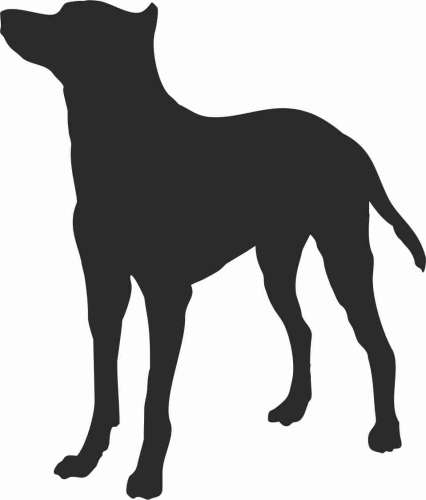 Owczarek Francuski Beauceron - naklejka