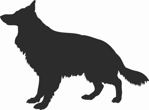 Owczarek Niemiecki Długowłosy - naklejka