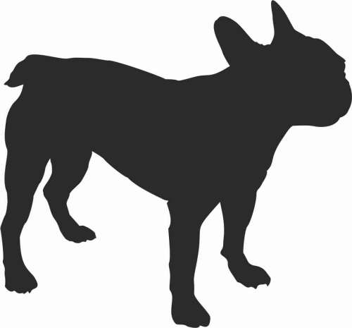 Buldog Francuski 95x88.jpg