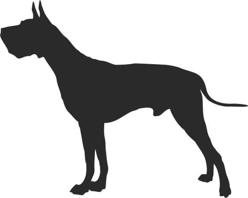 Dog niemiecki 95x75.jpg