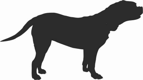 Dog z Bordeaux - naklejka