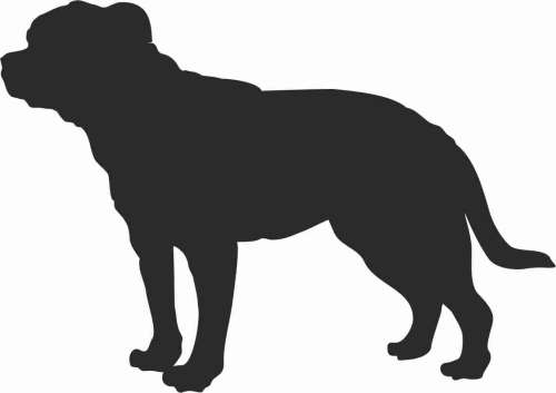 Dog z Majorki 95x67.jpg