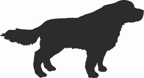 Landseer - naklejka