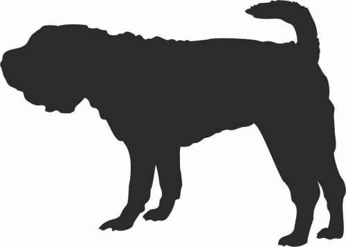 Shar Pei - naklejka