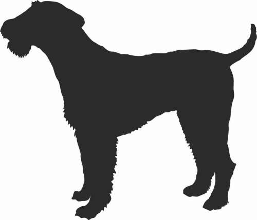 Airedale Terrier - naklejka