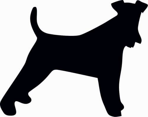 Foksterier - naklejka