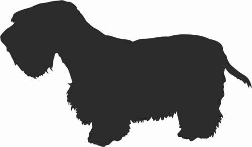 Sealyham Terrier - naklejka