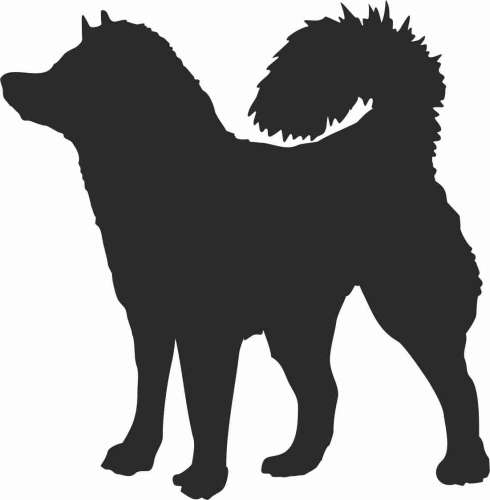 Alaskan Malamute - naklejka