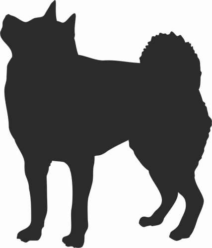 Shiba - naklejka
