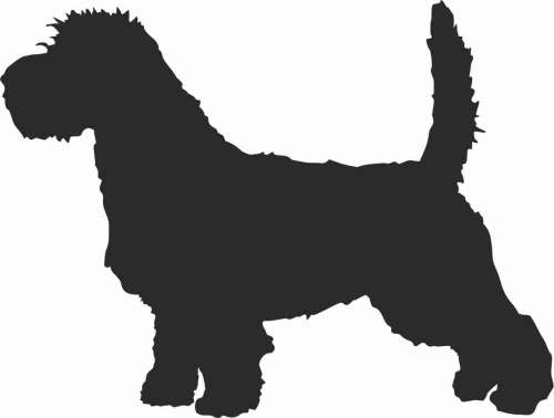 Petit Basset Griffon Vendéen 95x72.jpg