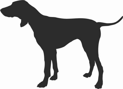 Pointer 95x68.jpg