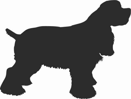 Cocker Spaniel - naklejka
