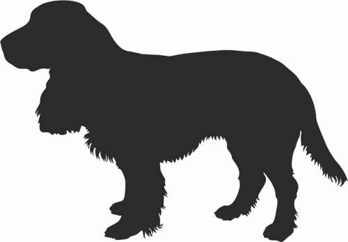 Field Spaniel - naklejka