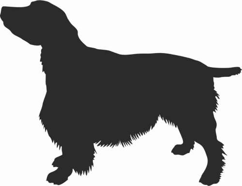 Springer Spaniel 95x73.jpg