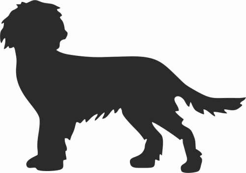 Płochacz Niemiecki Wachtelhund 95x67.jpg