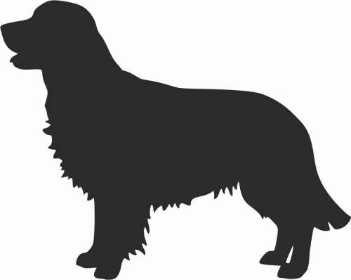 Golden Retriever 95x75.jpg