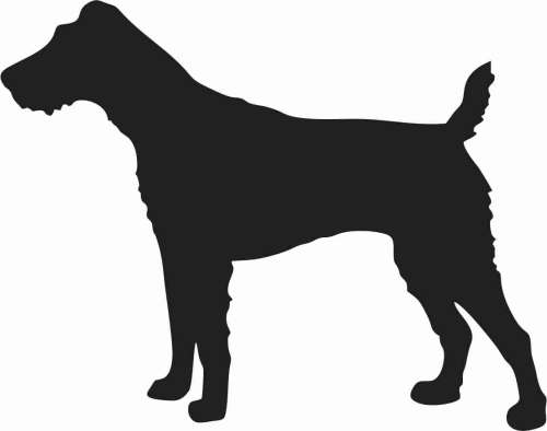 Terier Niemiecki Jagdterier - naklejka