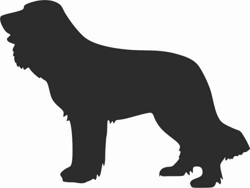 Polski spaniel myśliwski - naklejka