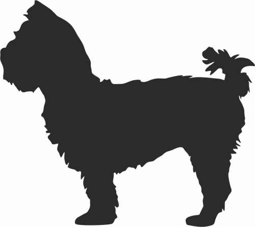 Yorkshire Terrier - naklejka