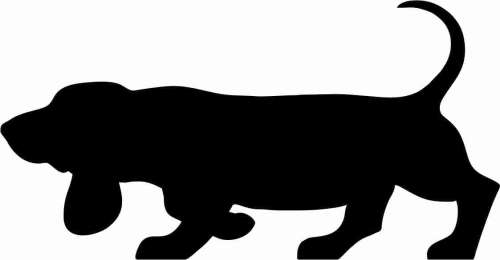 Basset hound 95x50.jpg