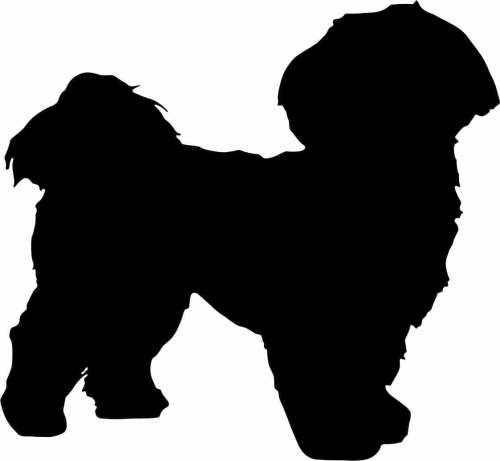 Shih Tzu - naklejka
