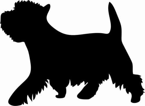 West Highland White Terrier - naklejka