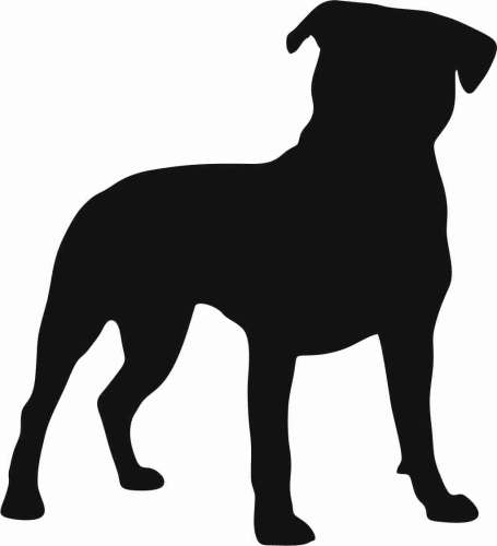 Staffordshirre bull terrier 87x95.jpg