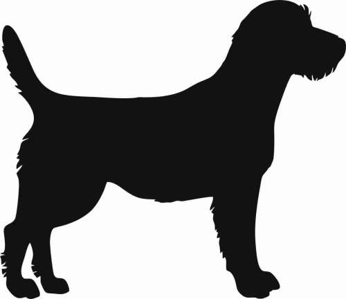 Border terrier- naklejka