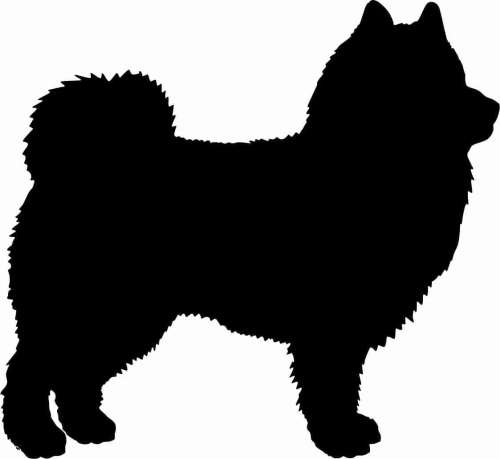 Eurasier - naklejka