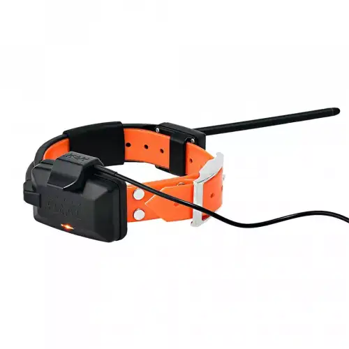 collar_x30_charging_1.webp