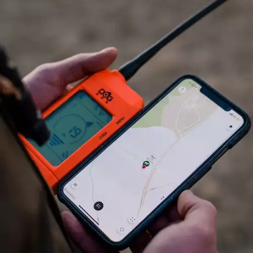 dog-gps-x3030.webp
