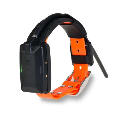 collar_x30_.jpg