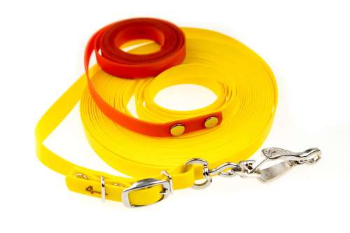 Linka treningowa taśma Biothane otok 10+2m FOREST