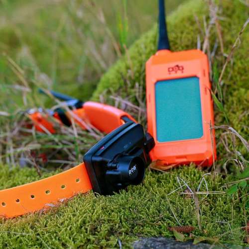 tracking-system-with-beeper-collar-dog-gps-x25b__mi001-2506.jpg