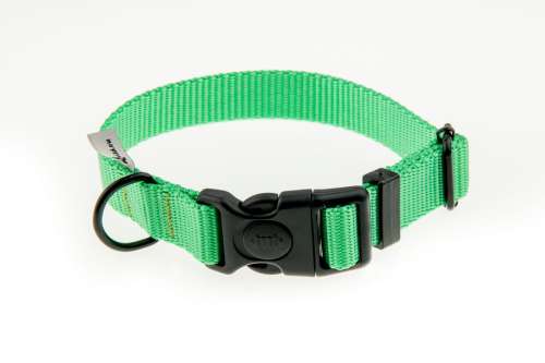 Obroża z taśmy 20 mm neonowa zieleń 25-35 cm