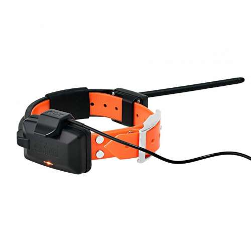collar_x30_charging_2.jpg