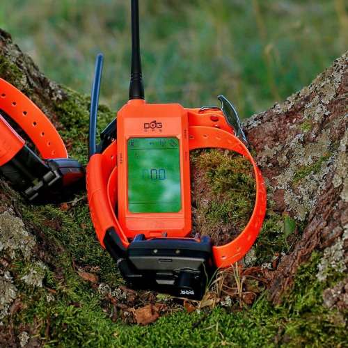 collar-for-another-dog-dog-gps-x25tb__mi001-2556.jpg