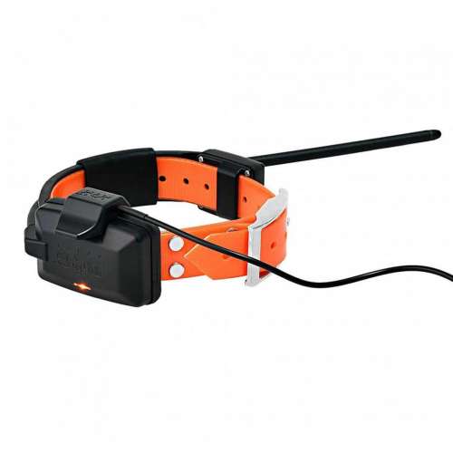 obojek-pro-dalsiho-psa-dog-gps-x25t__mi001-2549.jpg
