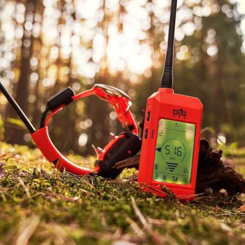 obojek-pro-dalsiho-psa-dog-gps-x25t__mi001-2550.jpg