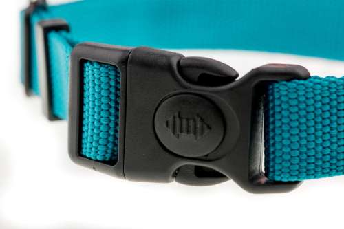 8938feb7a95b526a9003b28c7f1d150a