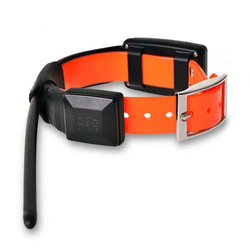 collar_x20_.jpg
