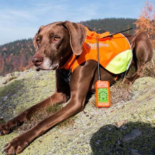 vyhledavaci-zarizeni-pro-psy-dog-gps-x20__mi001-2285.jpg