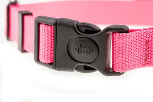 6f71723880f1170a2a9efce8892f50e8