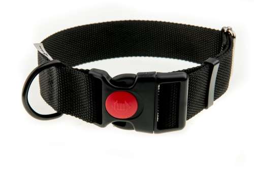 fe6af9f994fe43cbe73cd3419069c119