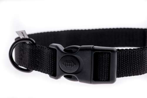 d3fb4ba36cbef71b804e0e5d11ff36cc