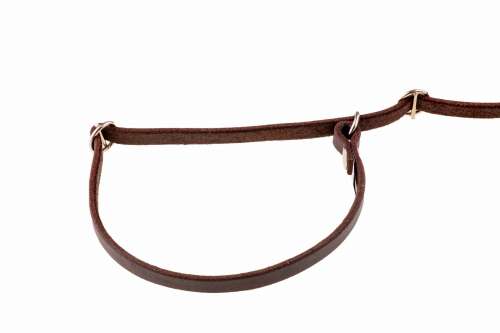 smycz z obrożą skóra