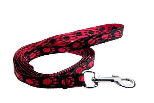 fa79f178fd6818cf0ffe8da0104d5883